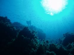Taken in Crete on dive holiday. just point and shoot by Malcolm Houston 